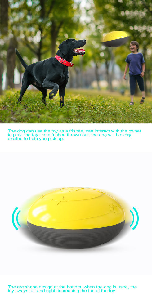 Squeaky Bite-Resistant Puppy Supplies Dog Float Toy